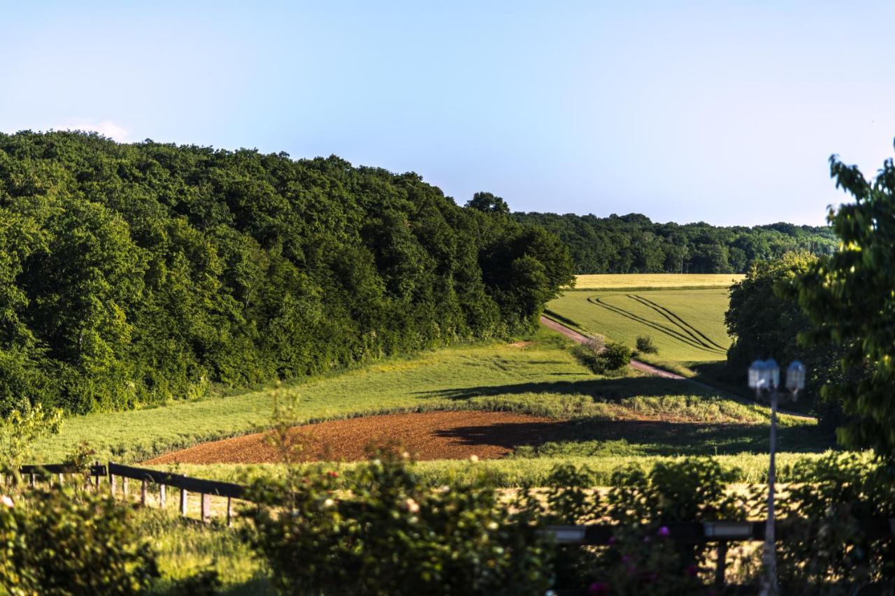 Le Petit Domaine De Bois Avril Étais-la-Sauvin Exterior foto
