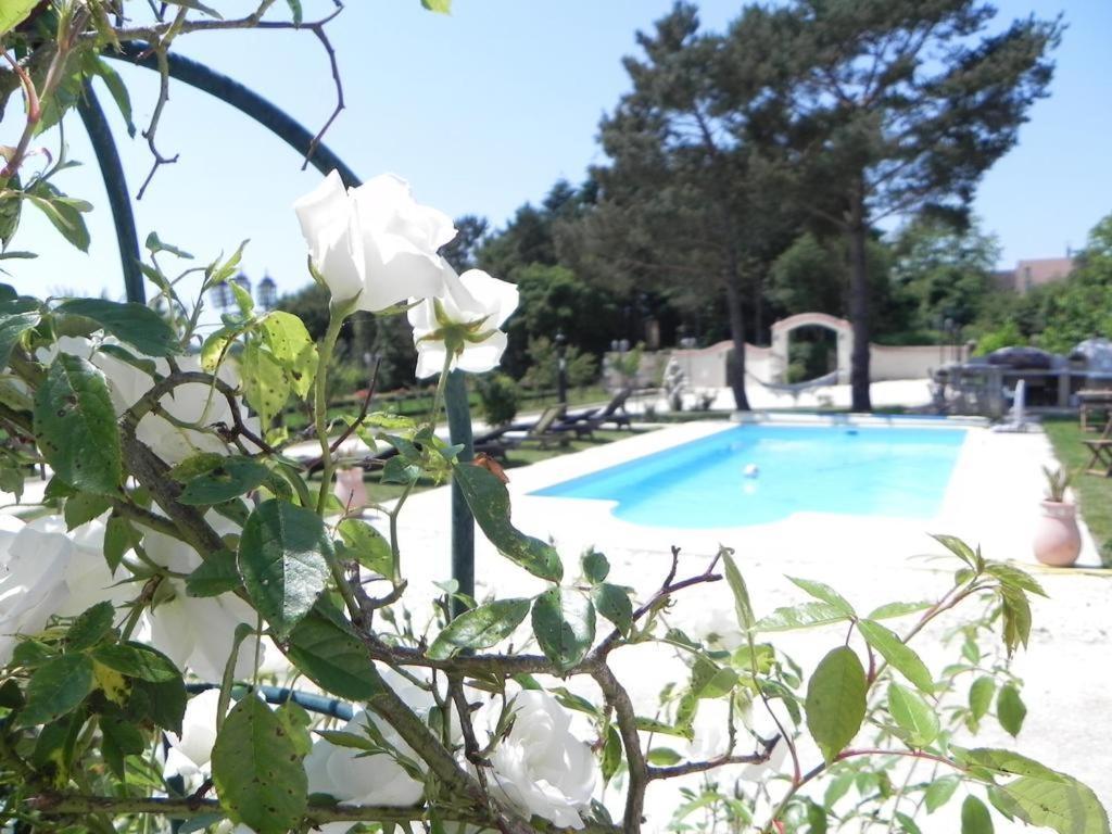 Le Petit Domaine De Bois Avril Étais-la-Sauvin Quarto foto